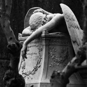 JuRRaSic (freestyle)