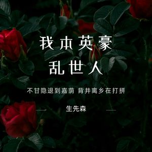 我本英豪乱世人