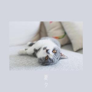 像鱼