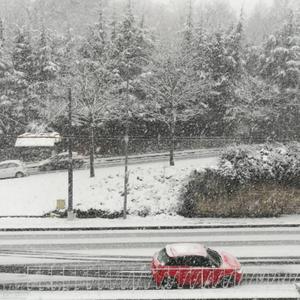 Red car & snow