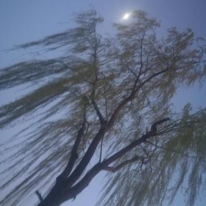 氵氵(Prod by Vikingar)