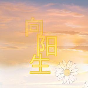 向阳生
