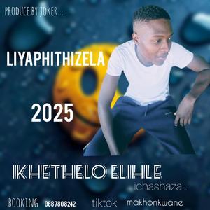 Liyaphithizela