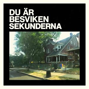 Du är besviken