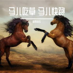 马儿吃草 马儿快跑