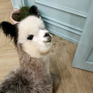 四部和声练习(1)