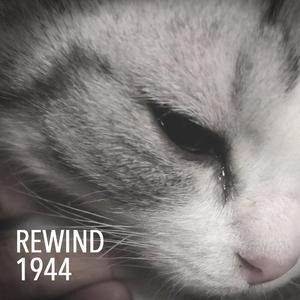 Rewind