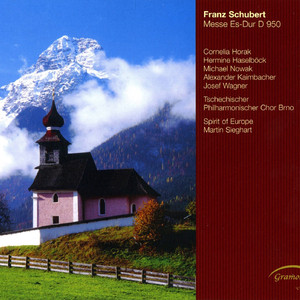 Mass No. 6 in E-Flat Major, D. 950: Credo