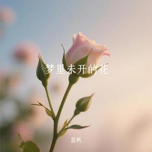梦里未开的花