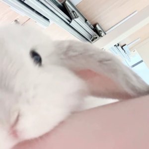 过往