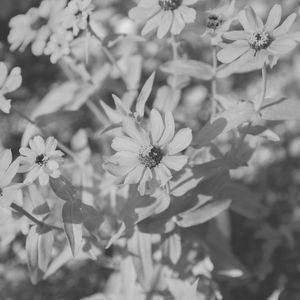 一尘不染放松印象数