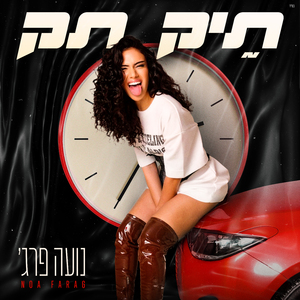 תיק תק