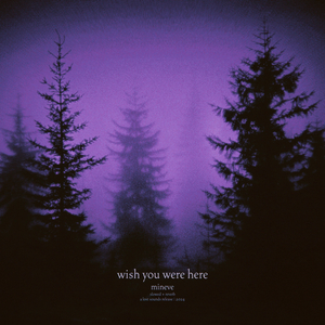 wish you were here (slowed + reverb)