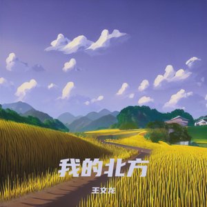我的北方(迪斯科版)