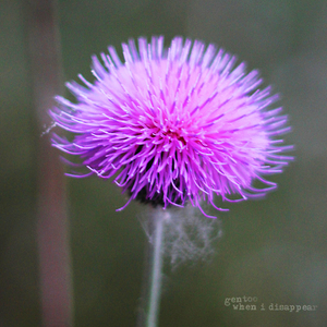 Collapsed Memories (Unconditional Love Mix)