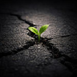 her şeyin ilacı zaman