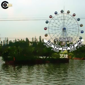 好运自然来 (DJ版)