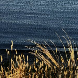 齿轮间的微型革命