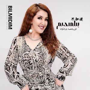 BiLMiDiM《不知道》