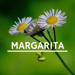 Margarita