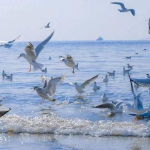 仲夏 Summer Wind（prod.Lisure）