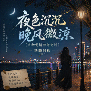 夜色沉沉晚风微凉(当初爱情匆匆走过)