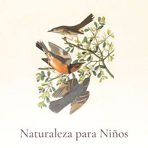 Colores de la Naturaleza