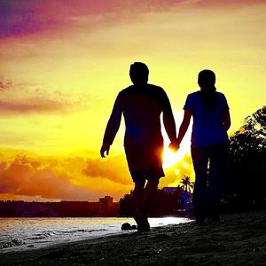 All We Need Is Love