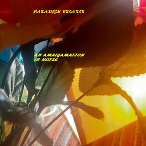 An Amalgamation of Noize