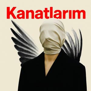 Kanatlarım.