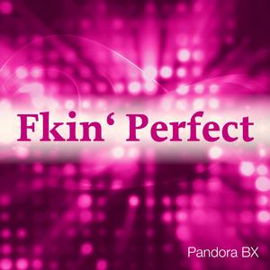 Fkin' Perfect (Dancecom Project Radio Mix)