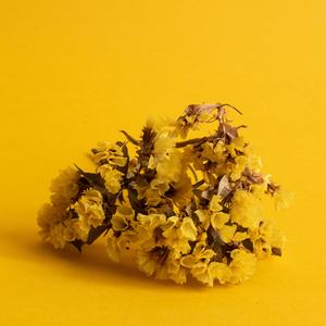 Yellow (Acoustic)