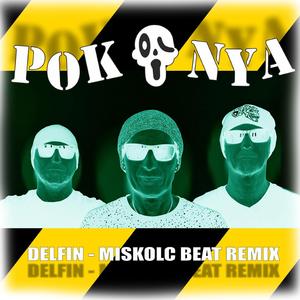 DELFIN (Miskolc Beat Remix)