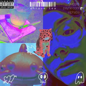 shroom tea (feat. Payne Conners & Elphaba)