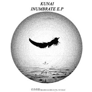 Surveilance (Original mix)
