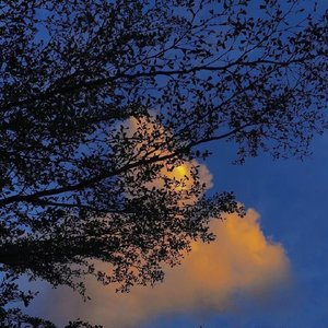 等雨停了，你来接我吧（Cover:李格）（翻自 李格）