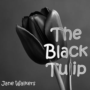 The Black Tulip