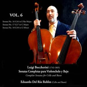 Sonata nº 16 G16, in E flat Major: II. Amoroso (minueto y trio en la cuerda sol)