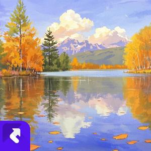 随风起舞 (现场)