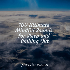 Floating Petals of Imagination