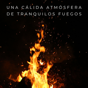 Una Cálida Atmósfera De Tranquilos Fuegos - 1 Hora