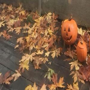 i really wish it was october i hate july