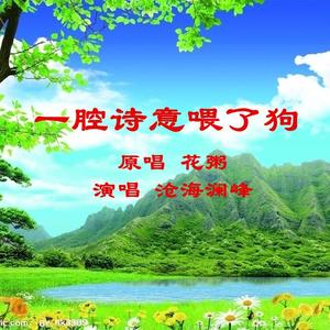 一腔诗意喂了狗