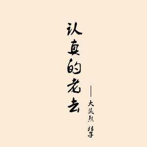 认真的老去（Cover 张希 / 曹方）
