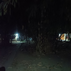 Bahebbak wabaridak (Remastered 2024)