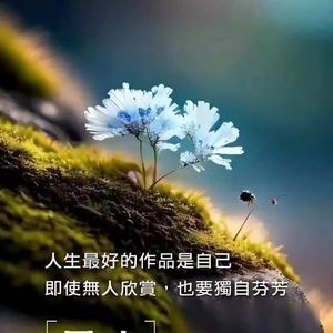 你是我最喜欢的丫头