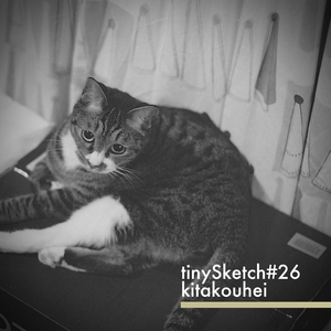 tinySketch #26