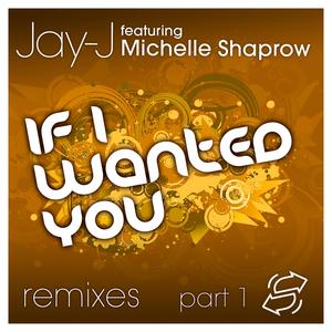 If I Wanted You (Emil Lanne Main Mix) [feat. Michelle Shaprow]
