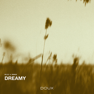 Dreamy