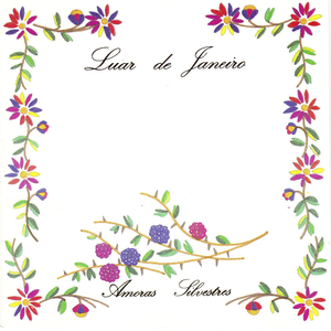 O Velho da Concertina